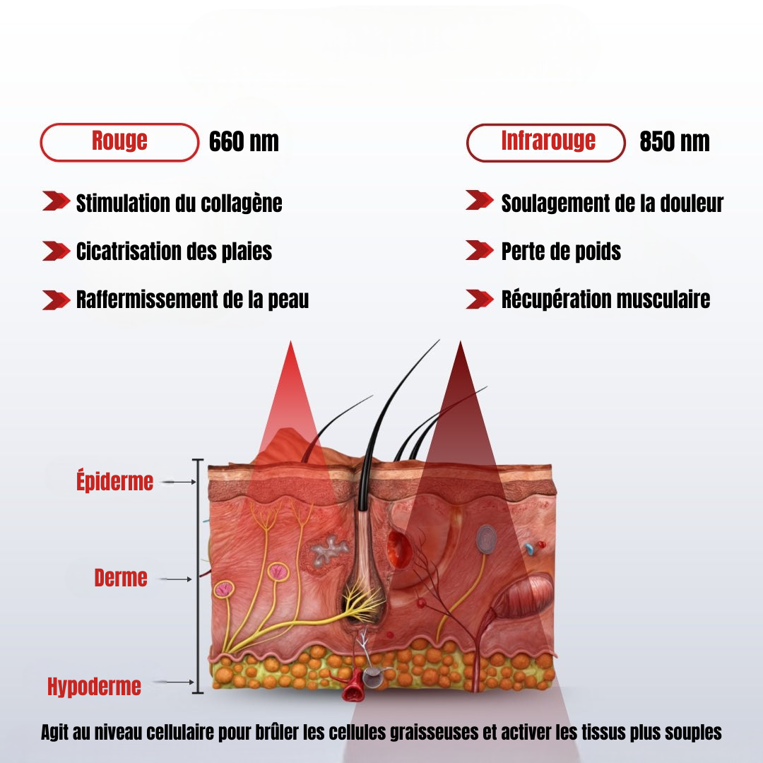 Ceinture de luminothérapie rouge et infrarouge Luminora AuraFLEX